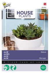Buzzy® House Plants Aloë gemengde soorten - afbeelding 1