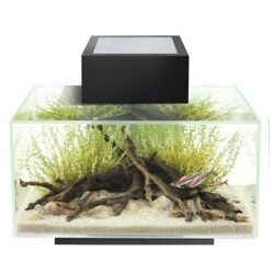 Fluval Edge Glossy Black 23L
