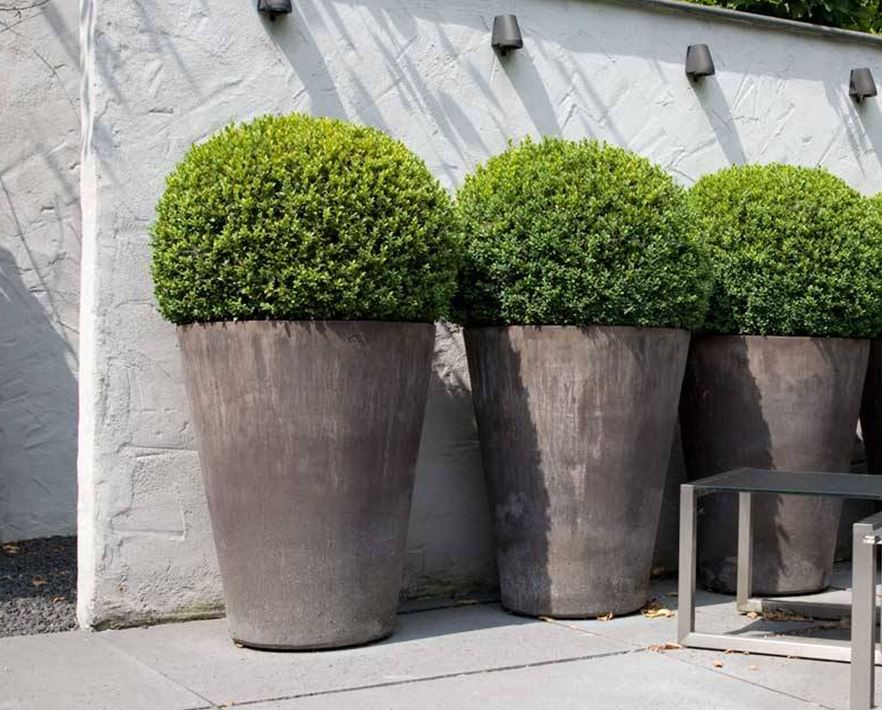 gek verzoek tand Buitenpotten & Manden - AVRI Bloem- en Tuincentrum