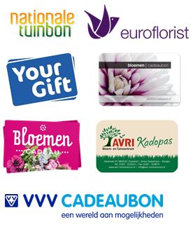 AVRI accepteert: VVV Cadeaubon, YourGift, Bloemen Cadeau, Bloemencadeubon, Nationale Tuinbon en Euroflorist. 