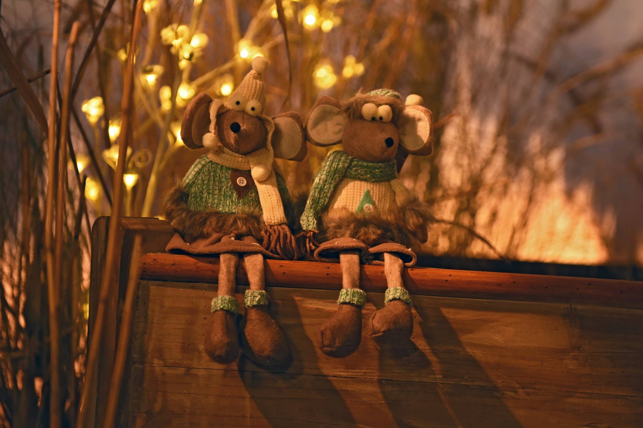 Originele kerstverlichting nabij Breda koopt u bij Tuincentrum AVRI! Originele kerstverlichting nabij Breda koopt u bij Tuincentrum AVRI!