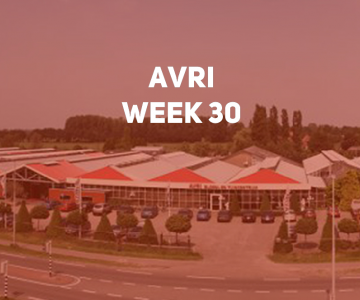AVRI Week 30