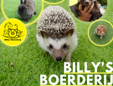 🐐🐾 Billy’s Boerderij