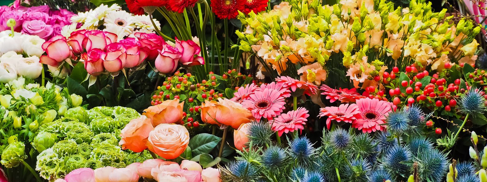 AVRI Bloem en Tuincentrum