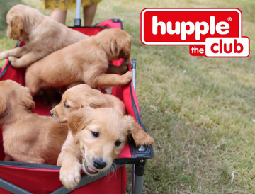🐾 Hupple DEMO