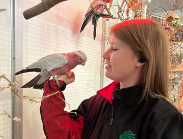 🎉 Openingsweekend Dierenafdeling 🐾