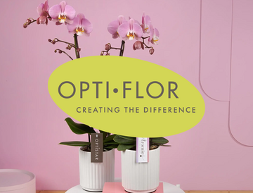 Optiflor Orchideeën Informatiedag