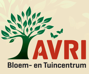 Puzzelweken 2017 3