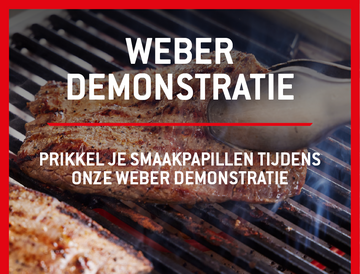 Weber DEMO