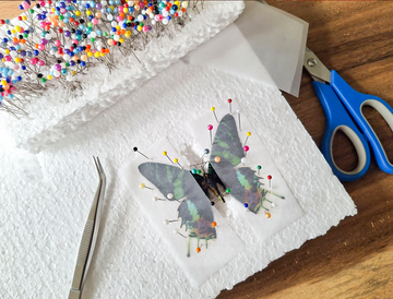 Workshop vlinders & kevers prepareren