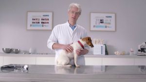 Bezoek Dierenarts Marnix van Pedigree