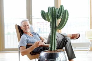 Woonplant van de maand juni: Cactus