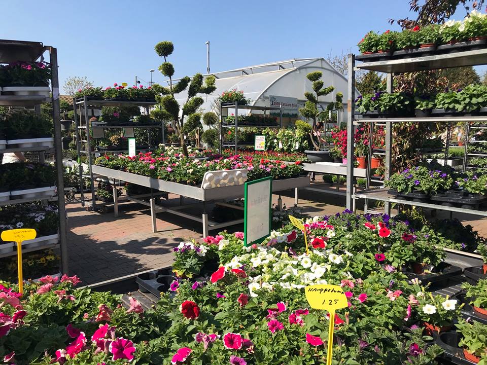 Planten kopen bij tuincentrum Tilburg?
