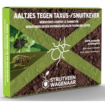 Aaltjes Tegen Taxuskevers 10m²