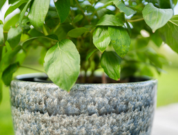 Aardewerk buitenpotten