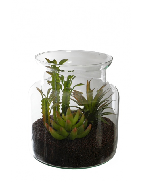 Agave Arrangement In Glass Bose Dia 15 H 19 Cm