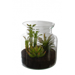 Agave Arrangement In Glass Bose Dia 15 H 19 Cm
