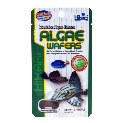 Hikari Algae Wafers 40 Gram