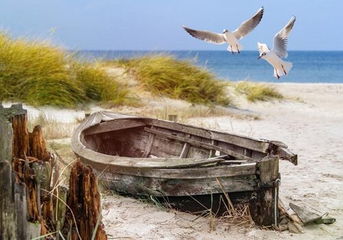 All seasons Boot op strand 100x70CM
