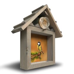 All seasons ph koolmees op mostak m 40x35cm