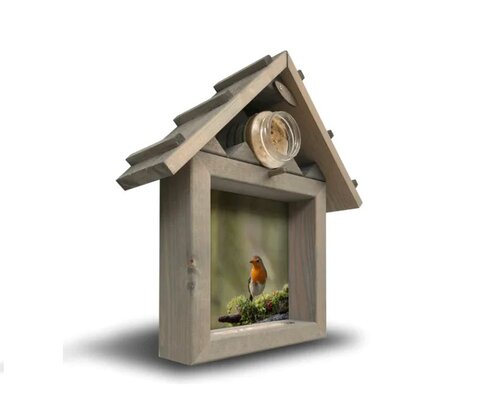 all seasons ph roodborst op mostak m 40x35cm