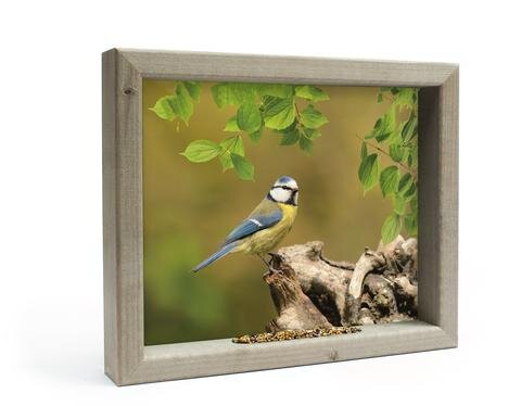 all seasons pimpelmees op stronk m 41x34cm