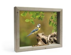 all seasons pimpelmees op stronk m 41x34cm