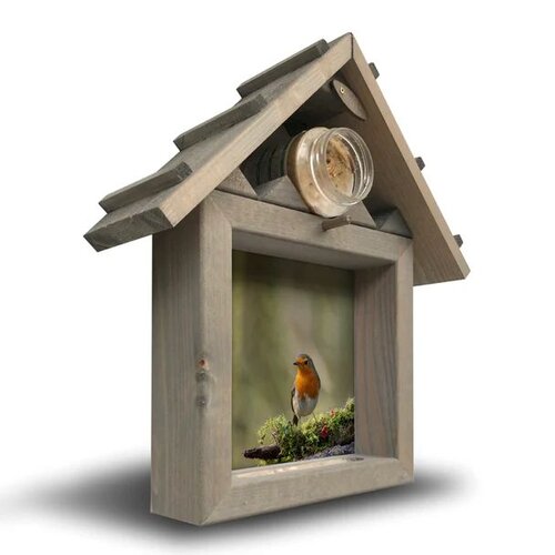 all seasons roodborst op mostak m 40x35cm