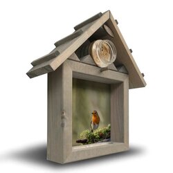 all seasons roodborst op mostak m 40x35cm