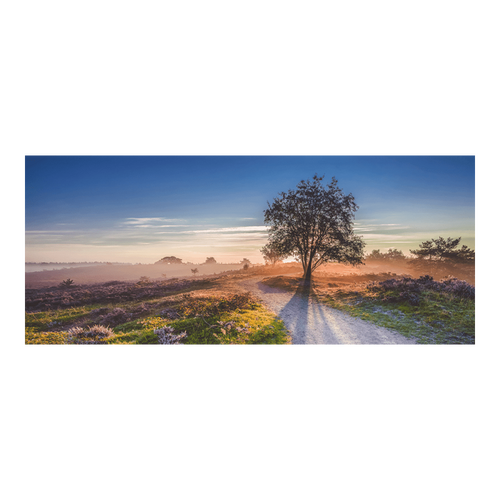 All seasons tp boom op heide 110x45cm