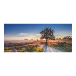 All seasons tp boom op heide 110x45cm