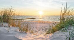 All Seasons tuinposter Strand ondergaande zon 130x70CM