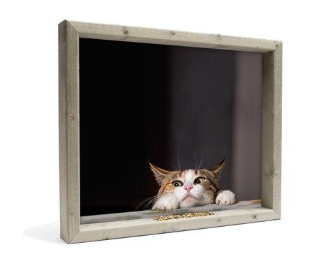 All seasons vh kat l 51x42cm