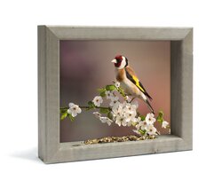 All seasons vh putter in bloesem s 31x26cm