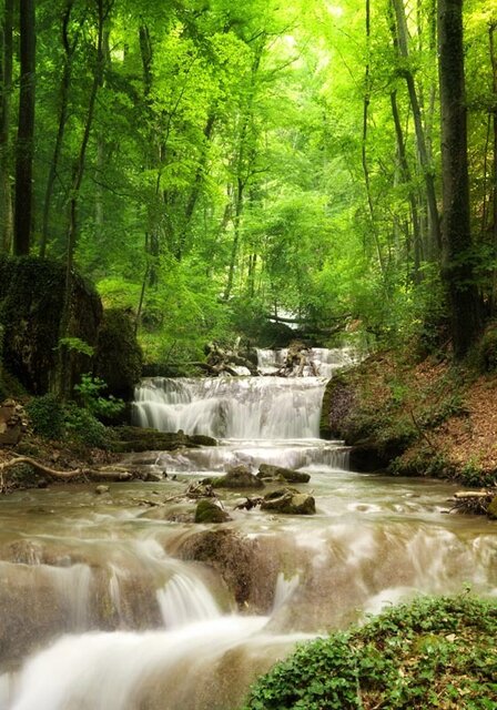 All seasons Watertrap door bos 70x100CM