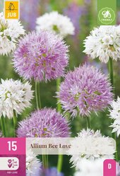 Allium bee love 15st - afbeelding 2