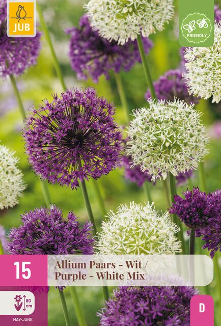 Allium paars/wit mix 15st - afbeelding 1
