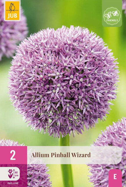 Allium pinball wizard 2st - afbeelding 1
