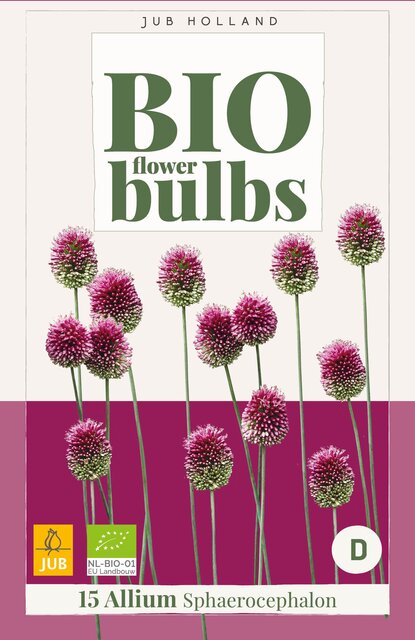Allium sphaerocephalon 15st - afbeelding 1