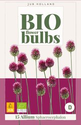 Allium sphaerocephalon 15st - afbeelding 1