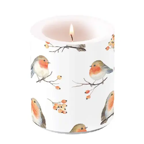 Ambiente Candle medium Robin family