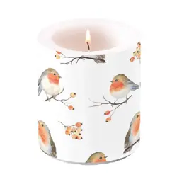 Ambiente Candle medium Robin family