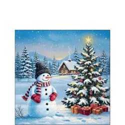 Ambiente Napkin 25 Cool guard FSC Mix