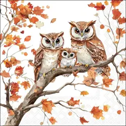 Ambiente Napkin 33 Family of owls FSC Mix