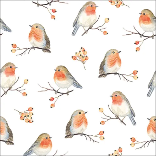 Ambiente Napkin 33 Robin family FSC Mix