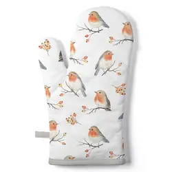 Ambiente Oven mitt Robin family