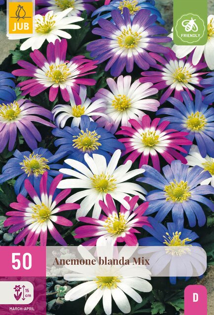 Anemone blanda mix 50st - afbeelding 1