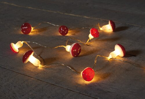 Anna's Collection B.O. PADDESTOEL 10L/1M LED WARM WIT 30CM AANLOOPSNOER  2XAA/IP20
