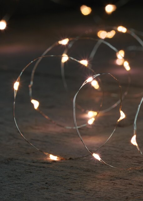 Anna's Collection draadverlichting zilver 40 led lampjes-2m warm wit