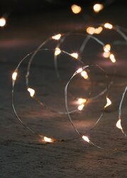 Anna's Collection draadverlichting zilver 40 led lampjes-2m warm wit